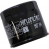 HIFLOFILTRO OIL FILTER - HF191 | Dr Rider