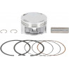 PSTN KIT TRX400EX .040 - PX2504 | Dr Rider