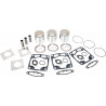 WISECO PISTON KIT POL - SK1296 - Dr Rider