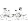 WISECO PISTON KIT ARCTIC - SK1329 - Dr Rider