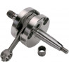 CRANK ASSY KX100 - H119 - Dr Rider