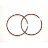 Jeu de segments TECNIUM 79MM