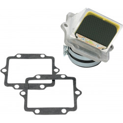 Boîte à clapets Boyesen RAD Valve - Kawasaki KX125 2000 - Dr Rider