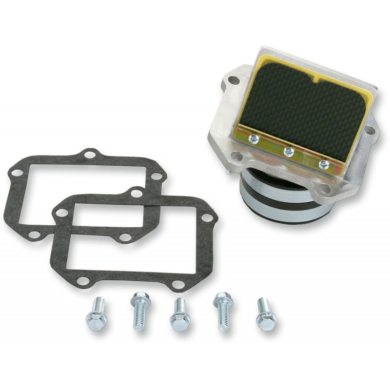 Boîte à clapets Boyesen RAD Valve - KTM 250 EXC 2002-2003 / 300 EXC/MXC 2002-2003 - Dr Rider
