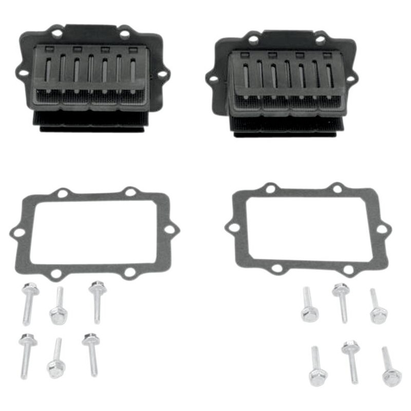 V-FORCE3 REEDS SD TWIN - V3120794A2 - Dr Rider