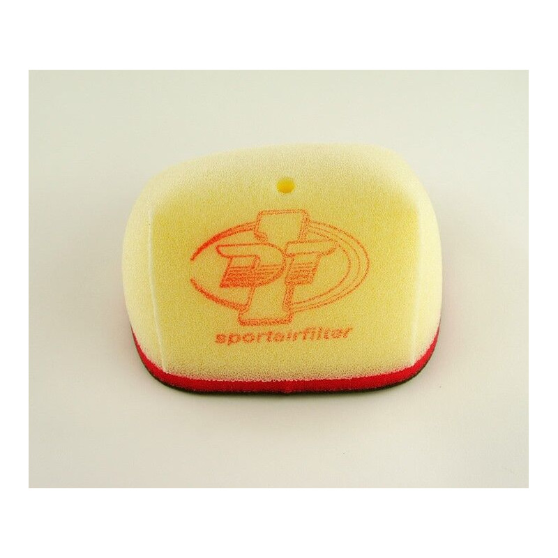 AIR FLTR WRF 250/450 - 10113413 - Dr Rider