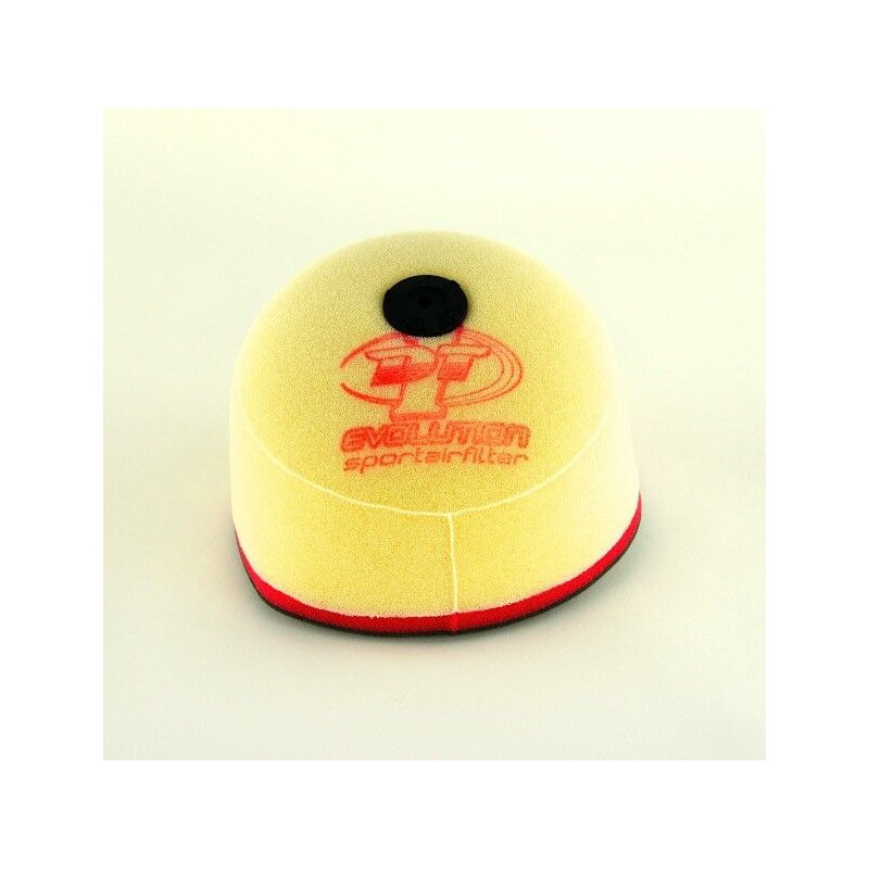 AIR FLTR TRIPLE HUSG 2/4T -13  - 10113450 - Dr Rider