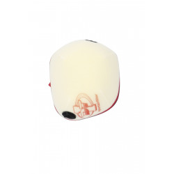 STD AIRFILTER GG '24 - 10114890 - Dr Rider