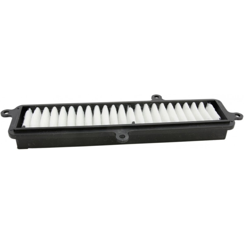 AIR FILTER BURGMAN 07-12 - 10112993 - Dr Rider