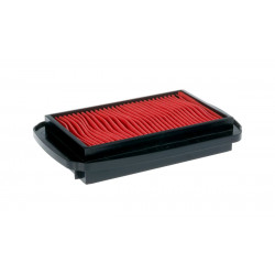AIR FILTER YZF-R125 08-13 - 10113215 - Dr Rider