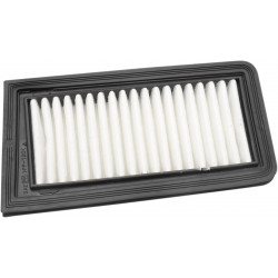 AIR FILTER AN650 BURGMAN - 10113266 - Dr Rider