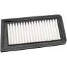 AIR FILTER AN650 BURGMAN - 10113266 - Dr Rider