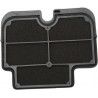 AIR FILTER KAW ER-6F 09-12 - 10113329 - Dr Rider