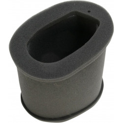 AIR FILTER KAWA - 10113603 - Dr Rider