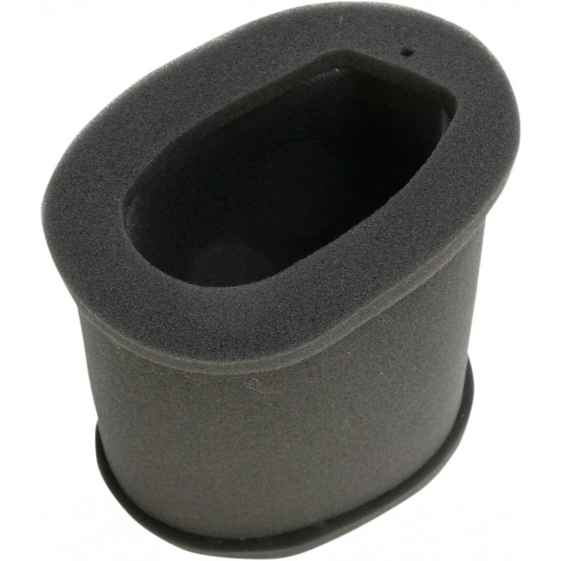 AIR FILTER KAWA - 10113603 - Dr Rider