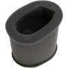 AIR FILTER KAWA - 10113603 - Dr Rider