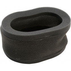 AIR FILTER - 10113604 - Dr Rider