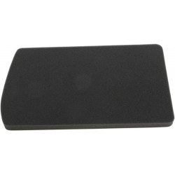 AIR FILTER - 10113613 - Dr Rider
