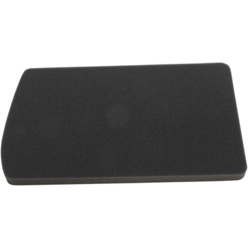 AIR FILTER - 10113613 - Dr Rider
