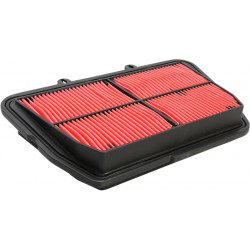 AIR FILTER TRIUMPH - 10113787 - Dr Rider