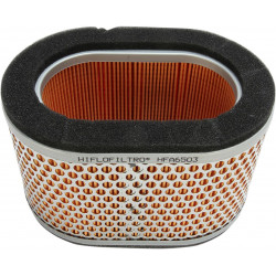 AIR FILTER TRIUMPH - 10113847 - Dr Rider