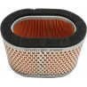 AIR FILTER TRIUMPH - 10113847 - Dr Rider