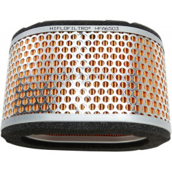AIR FILTER TRIUMPH - 10113847 - Dr Rider