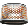 AIR FILTER TRIUMPH - 10113847 - Dr Rider