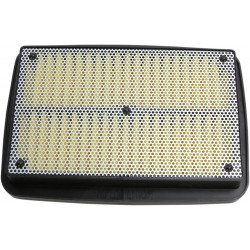AIR FLTR SUZ GSF650 1200 - 10113863 - Dr Rider