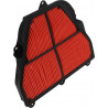 AIR FILTER TRIUMPH 675 - 10113995 - Dr Rider