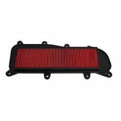 AIR FILTER PEOPLE GT - 10114161 - Dr Rider