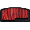 AIR FILTER TRIUMPH - 10114444 - Dr Rider
