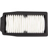 AIR FILTER SUZUKI - 10114529 - Dr Rider
