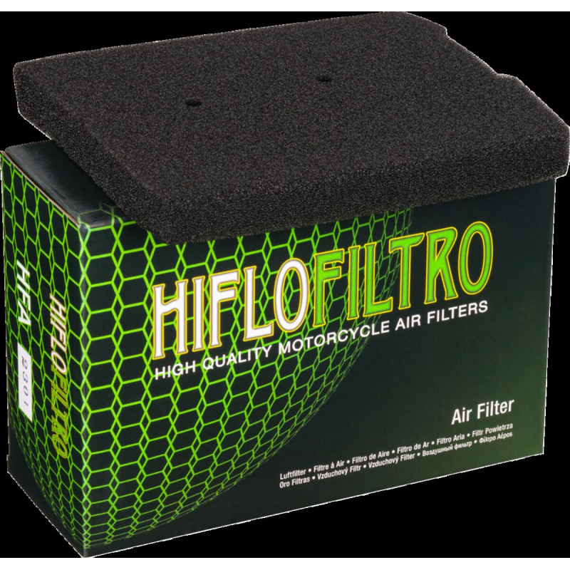 AIR FILTER KLE300 - 10114813 - Dr Rider