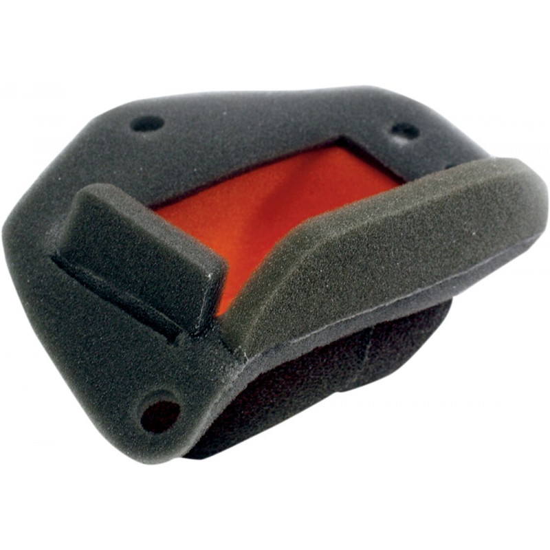 Filtre à air Twin Air BMW G650X 2007-2010 - Dr Rider
