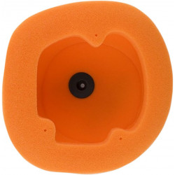 Filtre à air Twin Air Beta 2T 250/300 2013-2019 125RR 2018 X-Trainer 250/300 2015-2022 - Dr Rider