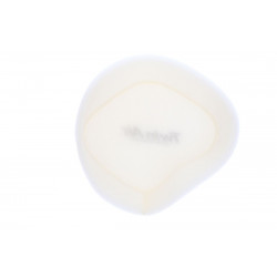 Surfiltre anti-poussière Twin Air DUCATI DESMO450 2025 - Dr Rider