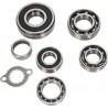 BEARINGS TRANS TBK0056 - 11060095 - Dr Rider