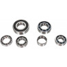 BEARINGS TRANS TBK0071 - 11060097 - Dr Rider