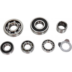 BEARINGS TRANS TBK0077 - 11060103 - Dr Rider