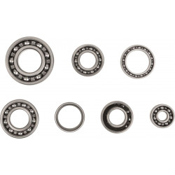 BEARINGS TRANS TBK0018 - 11060107 - Dr Rider