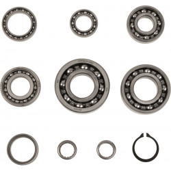 BEARINGS TRANS TBK0019 - 11060108 - Dr Rider