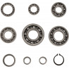 BEARINGS TRANS TBK0019 - 11060108 - Dr Rider