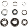 BEARINGS TRANS TBK0021 - 11060110 - Dr Rider