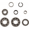 BEARINGS TRANS TBK0029 - 11060117 - Dr Rider