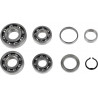 BEARINGS TRANS TBK0032 - 11060118 - Dr Rider