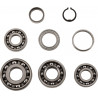 BEARINGS TRANS TBK0033 - 11060119 - Dr Rider
