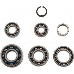 BEARINGS TRANS TBK0035 - 11060121 - Dr Rider
