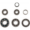 BEARINGS TRANS TBK0035 - 11060121 - Dr Rider