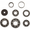 BEARINGS TRANS TBK0043 - 11060127 - Dr Rider